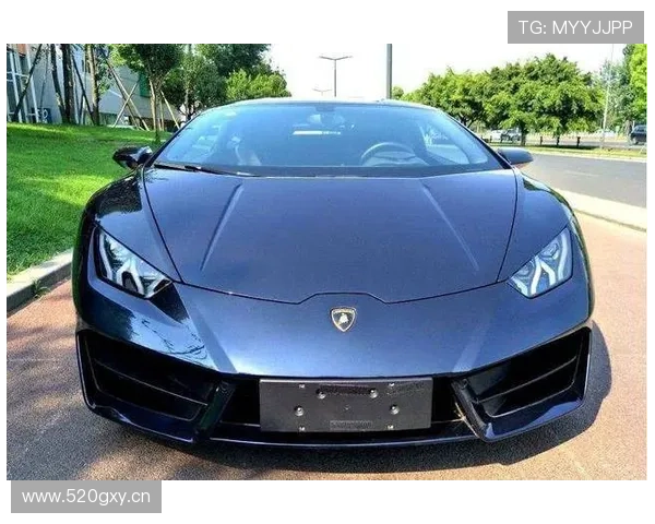 埃琳·安德森训练完顺手买了辆超跑，说是为了省油？