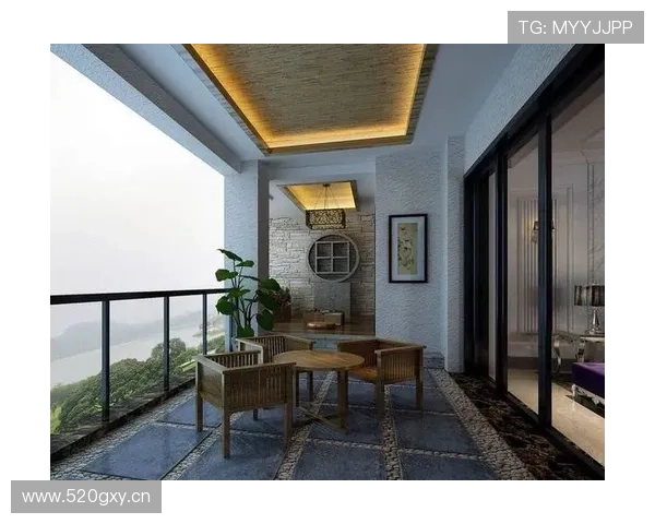 费德勒家的洗衣房比我家客厅还大